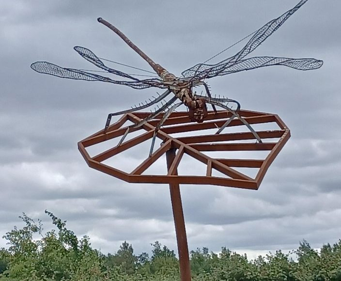 A SSSI - A Site of Special Scientific Interest