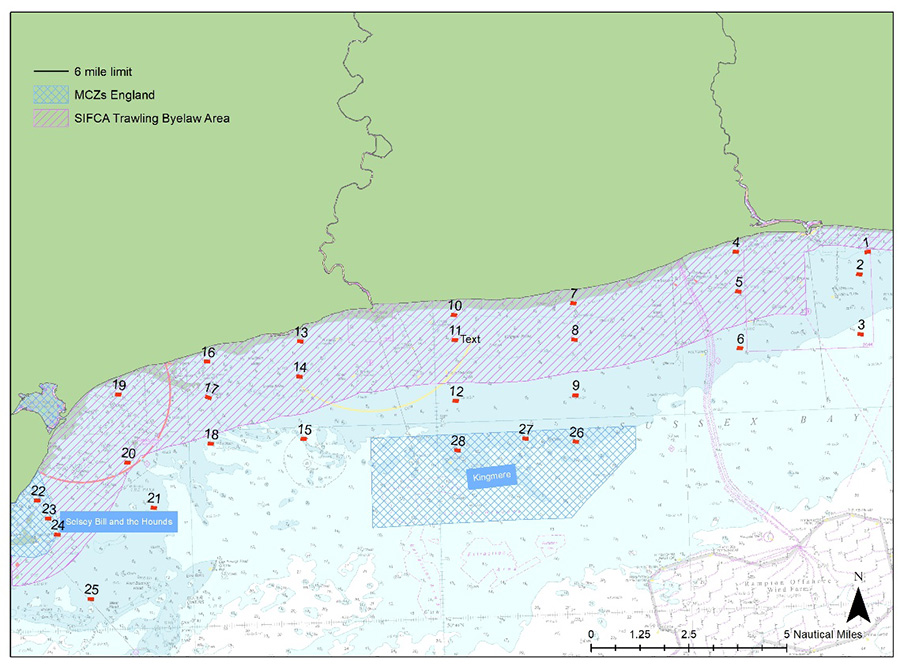 Map of the 28 sites along the Sussex Coast