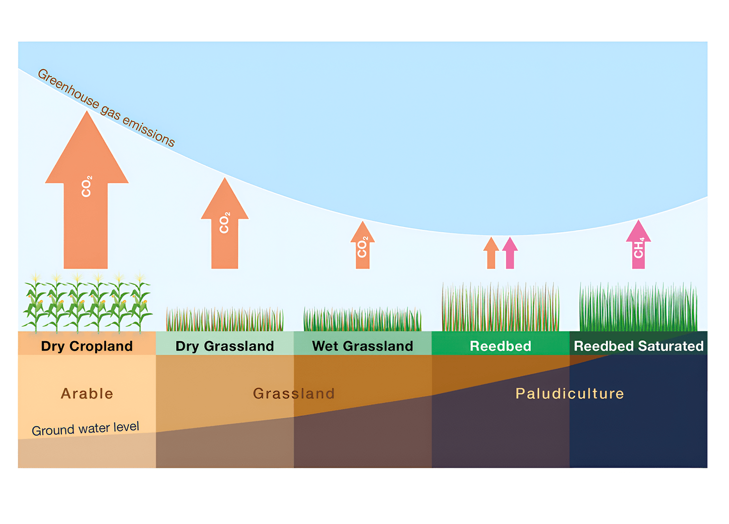 Greenhouse gas emissions Graph