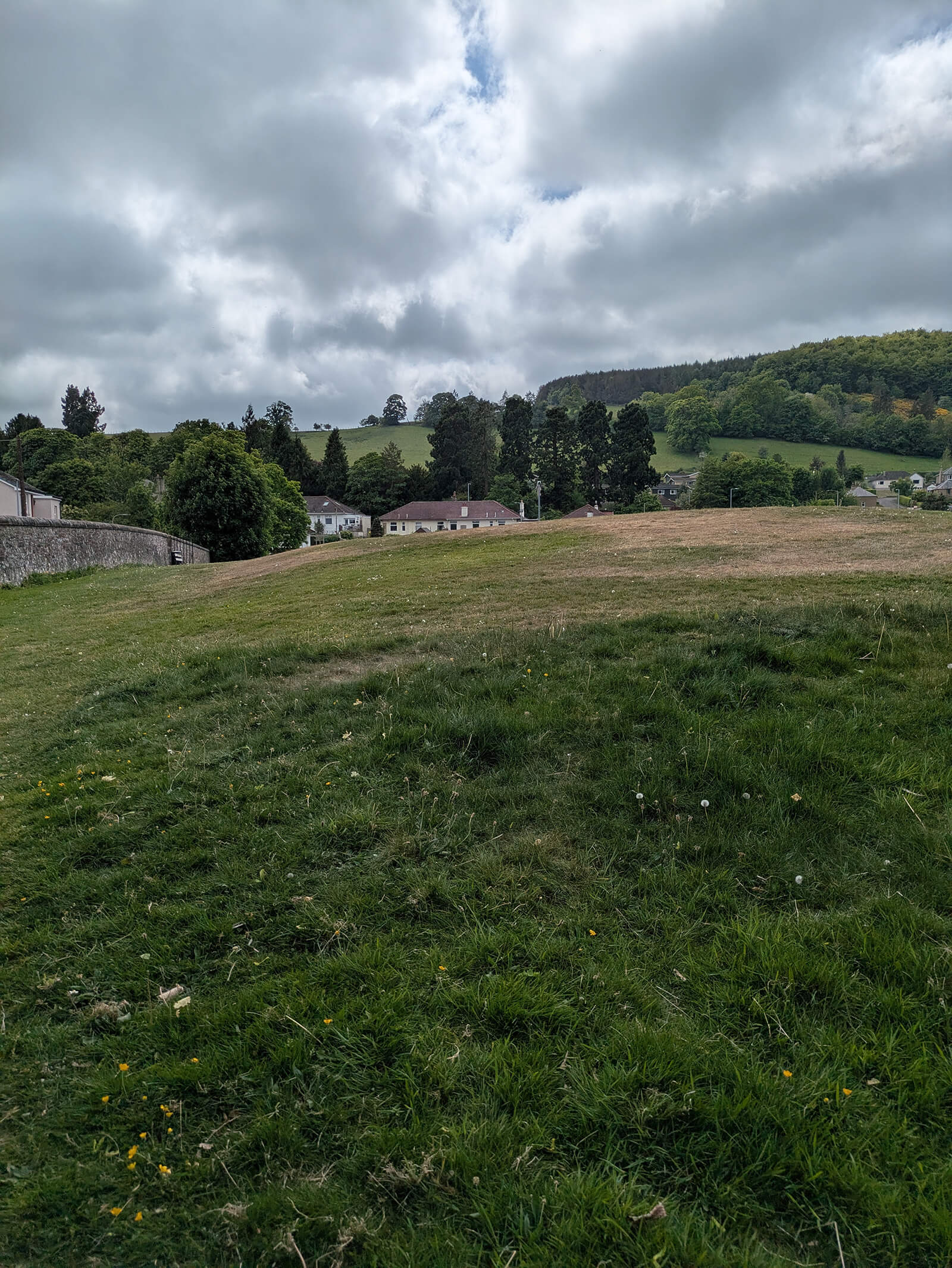 Site image