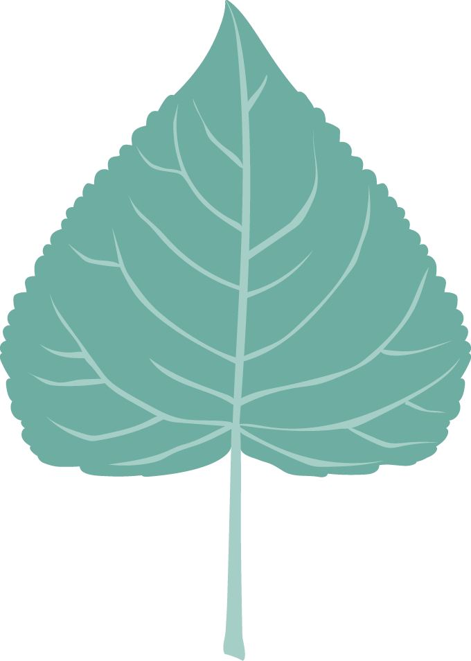 Leaf 