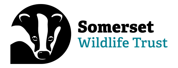 Somerset Wildlife Trust