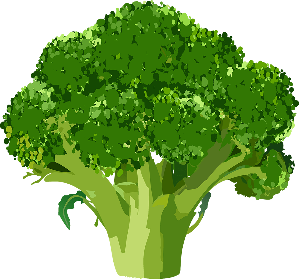 Broccoli