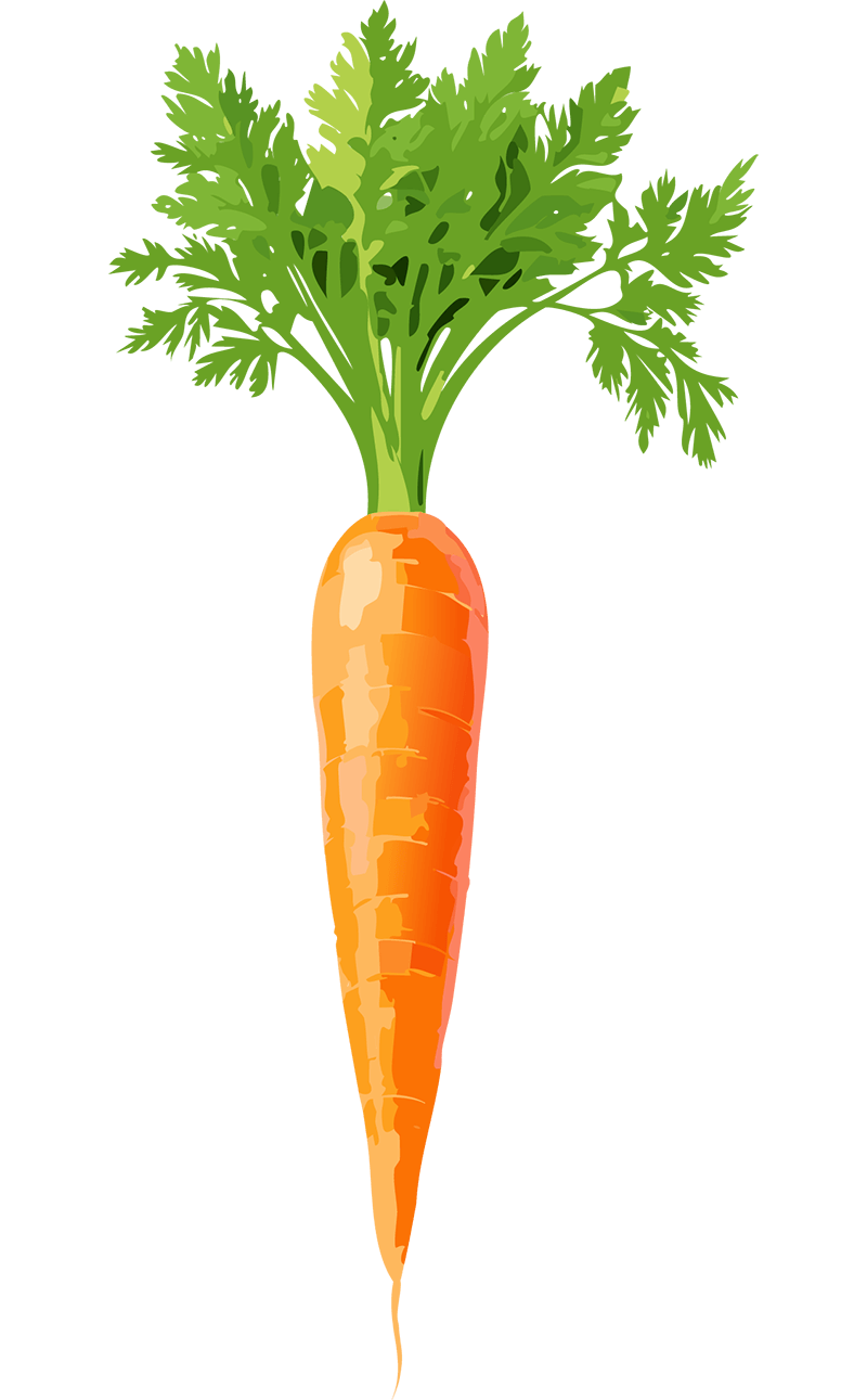 Carrot