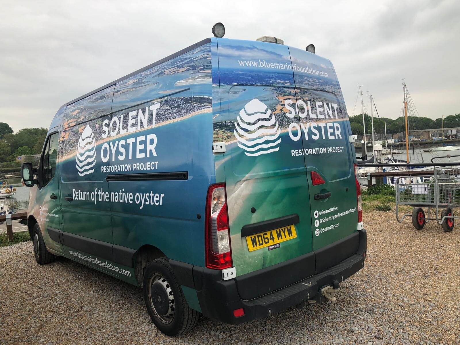 GreenTheUK Oyster Restoration with BLUE in the Solent 7